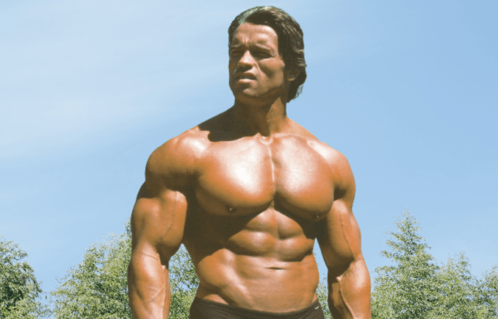 The Arnold Split: Complete Workout Guide & Schedule